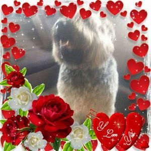 Meet your Posher, Annaalice